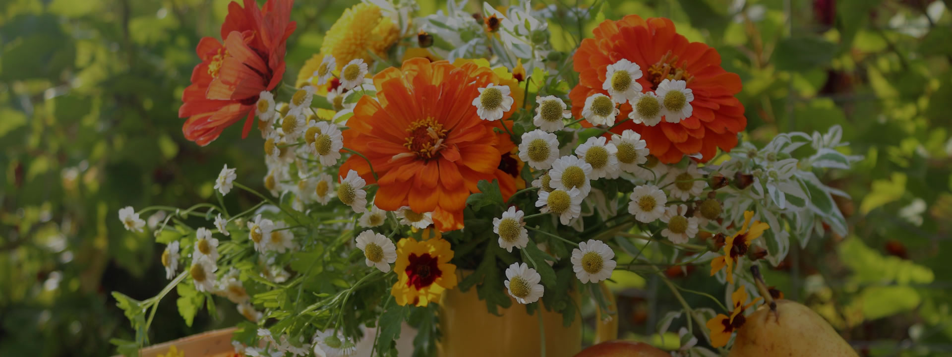 <h2>Il tuo verde, la nostra missione</h2><p>	Dalla progettazione alla manutenzione, trasformiamo ogni spazio in un angolo di natura</p>