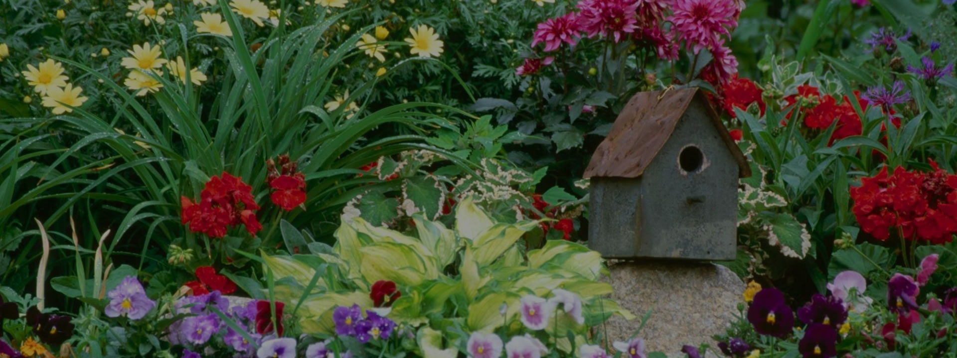 <h2>Vivai Abagian, innovazione e sostenibilità</h2><p>Dal seme al giardino, ogni creazione nasce con cura, esperienza e amore per il verde</p>